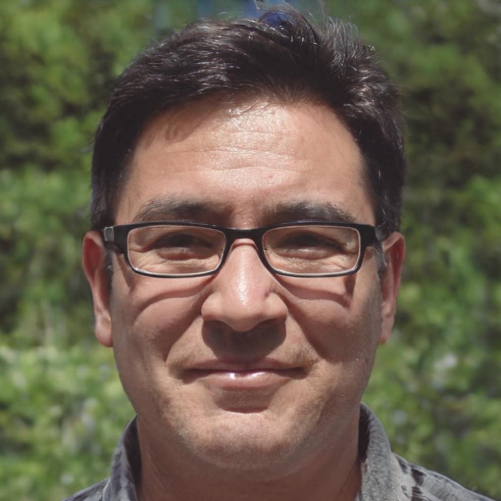 Portrait of database systems engineer